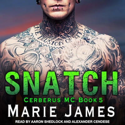 Snatch – omslag til lydbogen af Marie James