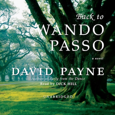 Back to Wando Passo – omslag til lydbogen af David Payne