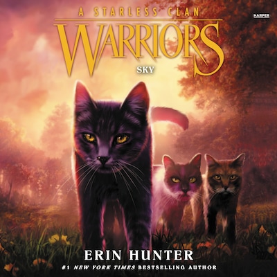 Warriors: A Starless Clan #2: Sky