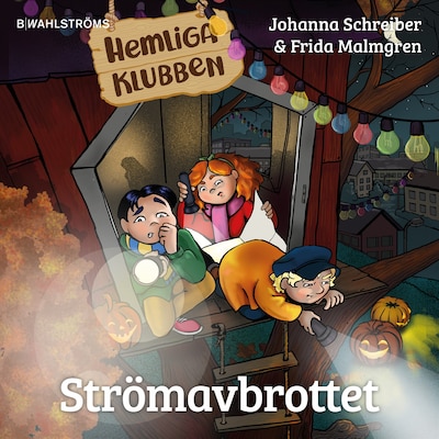Strömavbrottet