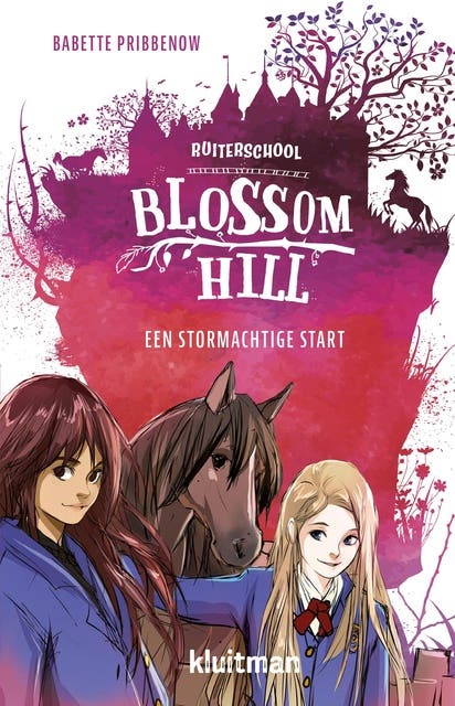 Een stormachtige start – omslag van het luisterboek van Babette Pribbenow