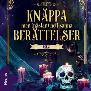 Knäppa men (nästan) helt sanna berättelser Bok 2 – omslag till ljudboken av Saddelback Education