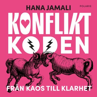 Konfliktkoden: Från kaos till klarhet