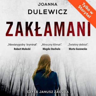 Zakłamani – okładka audiobooka, autor Joanna Dulewicz