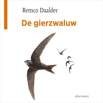 De gierzwaluw