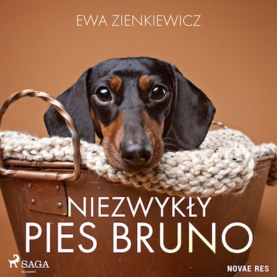 Niezwykły pies Bruno – okładka audiobooka, autor Ewa Zienkiewicz