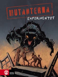 Experimentet