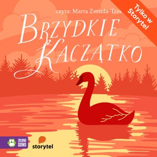 Brzydkie Kaczątko – okładka audiobooka, autor Marzena Kwietniewska-Talarczyk