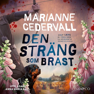 Den sträng som brast – omslag till ljudboken av Marianne Cedervall