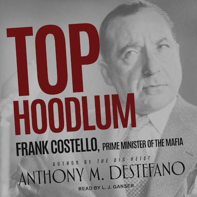 Top Hoodlum – omslag til lydbogen af Anthony M. DeStefano
