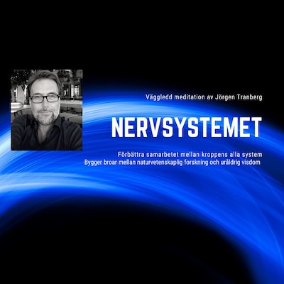 Nervsystemet - meditation