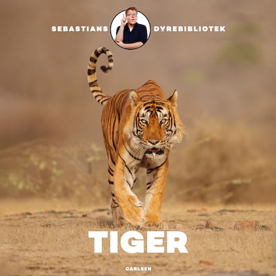 Sebastians dyrebibliotek - Tiger – omslag til lydbogen af Sebastian Klein