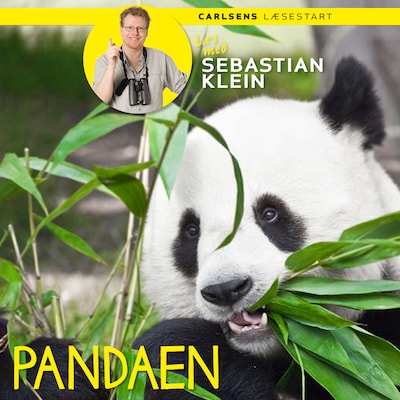 Læs med Sebastian Klein - Pandaen – omslag til lydbogen af Sebastian Klein