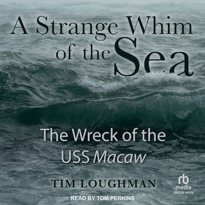 A Strange Whim of the Sea – omslag til lydbogen af Tim Loughman