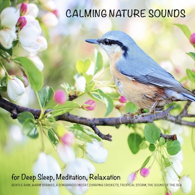 Calming Nature Sounds (without music) for Deep Sleep, Meditation, Relaxation – omslag til lydbogen af Yella A. Deeken