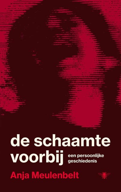 De schaamte voorbij: een persoonlijke geschiedenis
