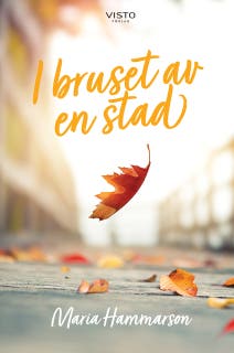 I bruset av en stad – omslag till ljudboken av Maria Hammarson