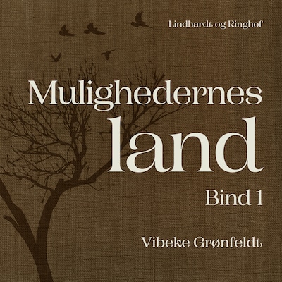 Mulighedernes land. Bind 1 – omslag til lydbogen af Vibeke Grønfeldt