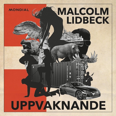 Uppvaknande – omslag till ljudboken av Malcolm Lidbeck