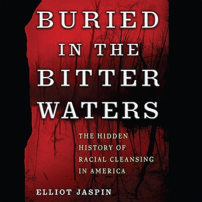 Buried in the Bitter Waters – omslag til lydbogen af Elliot Jaspin