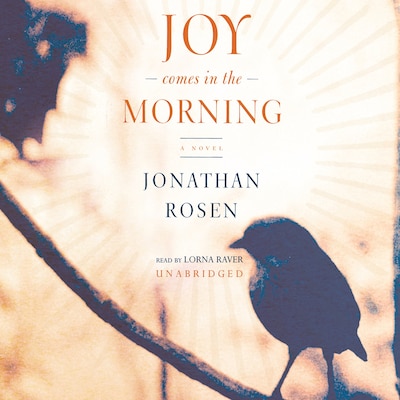 Joy Comes in the Morning – omslag til lydbogen af Jonathan Rosen