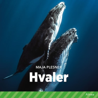 Hvaler – omslag til lydbogen af Maja Plesner