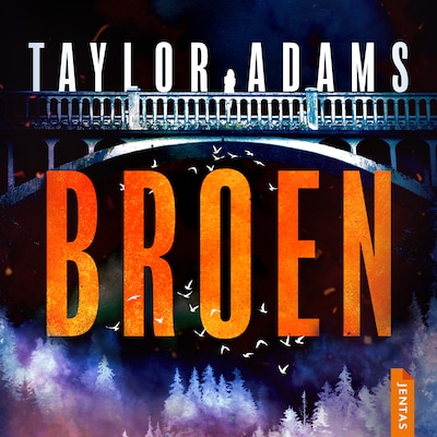 Broen – omslag til lydbogen af Taylor Adams