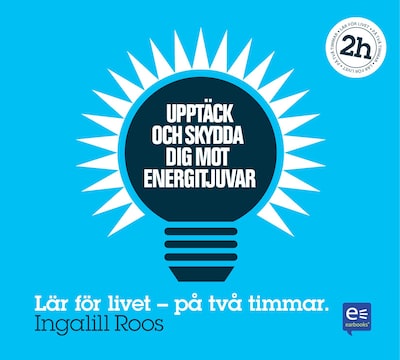Upptäck och skydda dig mot energitjuvar : På en timme