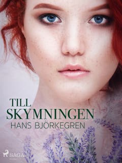 Till skymningen – omslag till ljudboken av Hans Björkegren