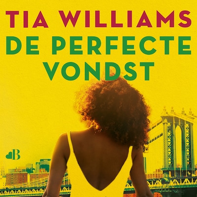 De perfecte vondst – omslag van het luisterboek van Tia Williams