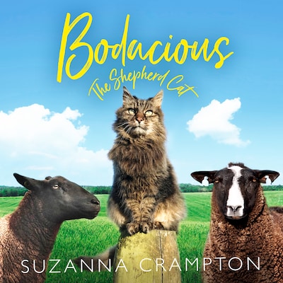 Bodacious: The Shepherd Cat – omslag van het luisterboek van Suzanna Crampton
