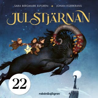 Julstjärnan – Lucka 22