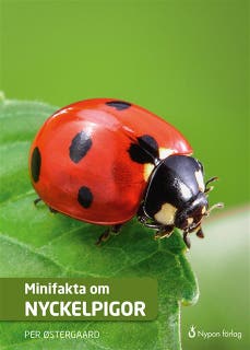 Minifakta om nyckelpigor