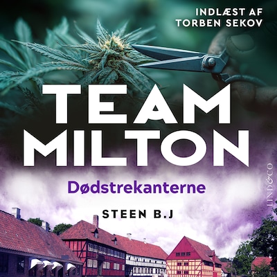 Dødstrekanterne – omslag til lydbogen af Steen B. J.