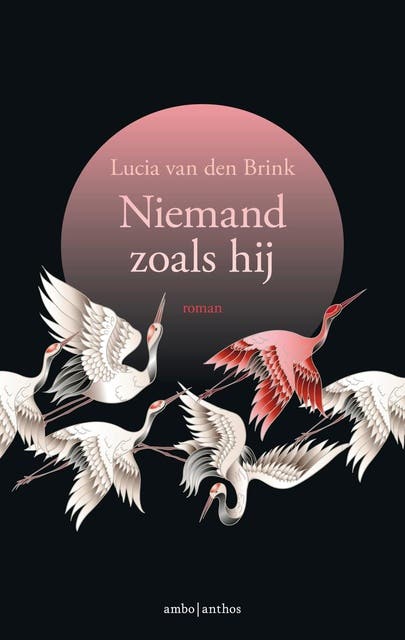 Niemand zoals hij – omslag van het luisterboek van Lucia van den Brink
