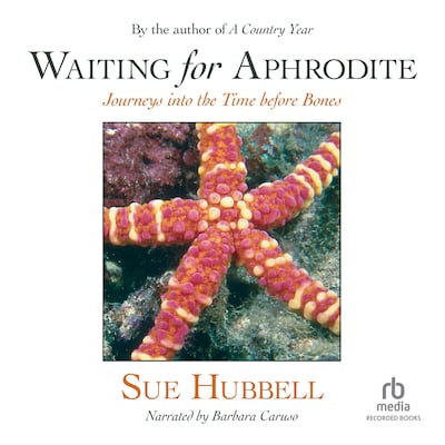Waiting for Aphrodite