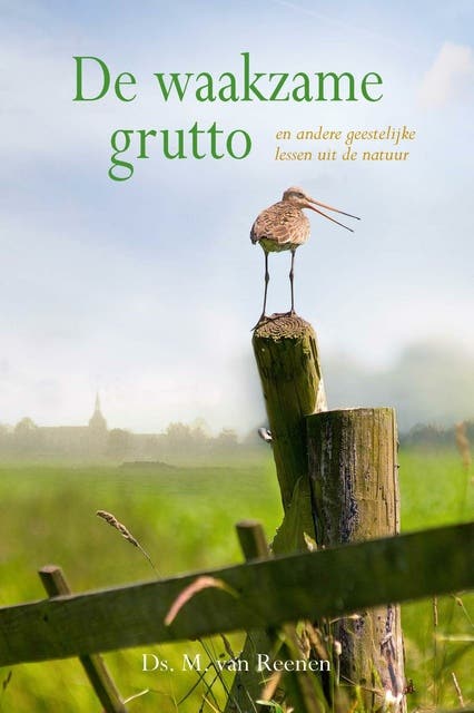De waakzame grutto: en andere geestelijke lessen uit de natuur – omslag van het luisterboek van M. van Reenen