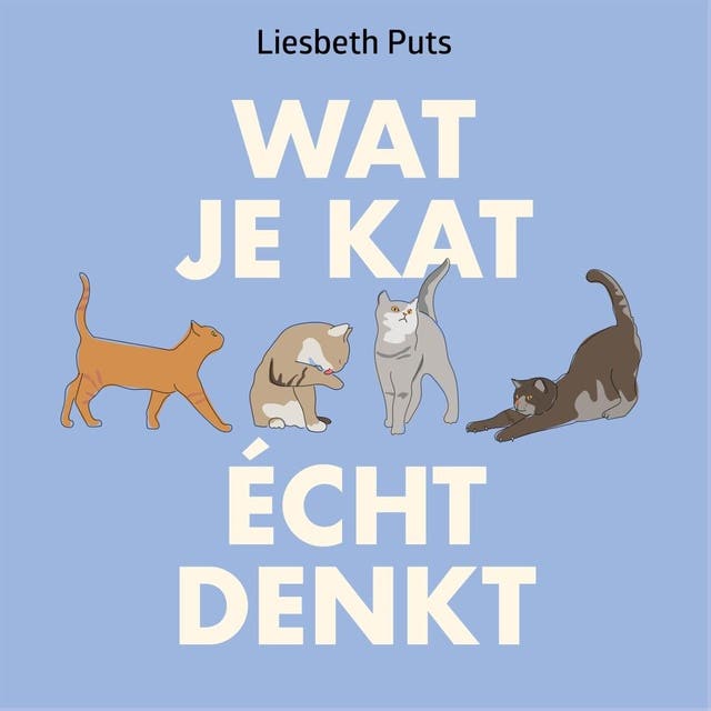 Wat je kat écht denkt: Alles over de lichaamstaal van je kat
