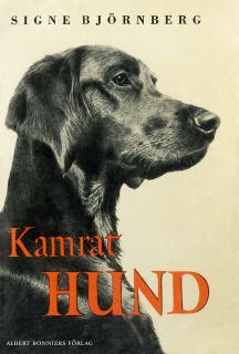 Kamrat hund – omslag till ljudboken av Signe Björnberg
