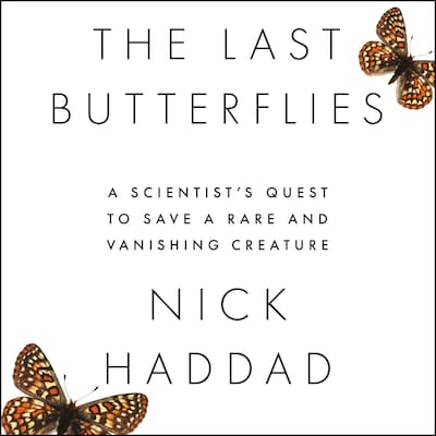 The Last Butterflies – omslag til lydbogen af Nick Haddad