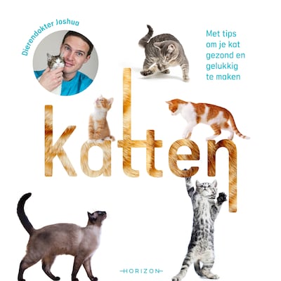 Katten – omslag van het luisterboek van Joshua Dutré