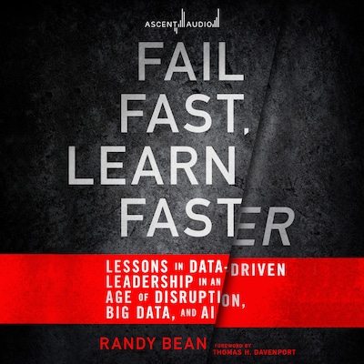 Fail Fast, Learn Faster – omslag til lydbogen af Randy Bean
