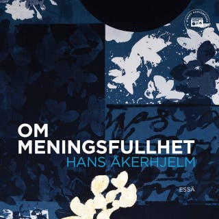 Om meningsfullhet