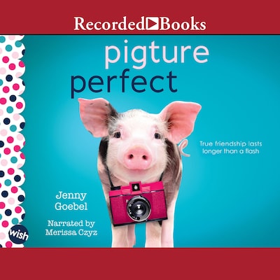 Pigture Perfect – omslag til lydbogen af Jenny Goebel