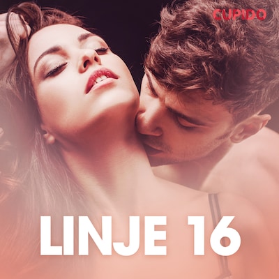 Linje 16 – erotisk novell