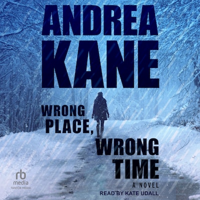 Wrong Place, Wrong Time – omslag til lydbogen af Andrea Kane