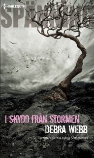 I skydd från stormen – omslag till ljudboken av Debra & Regan Webb & Black