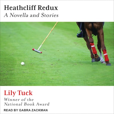 Heathcliff Redux – omslag til lydbogen af Lily Tuck