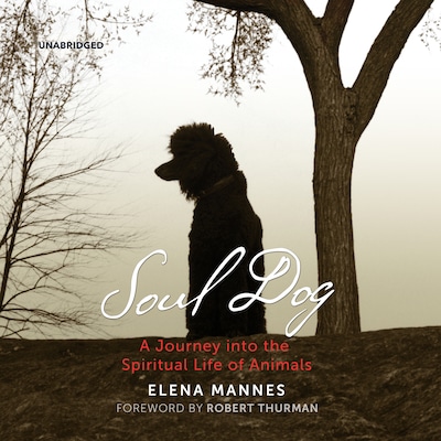 Soul Dog – omslag til lydbogen af Elena Mannes