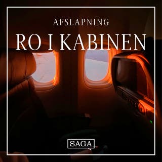 Ro i kabinen - Lyden af en flyvemaskine – omslag til lydbogen af Rasmus Broe